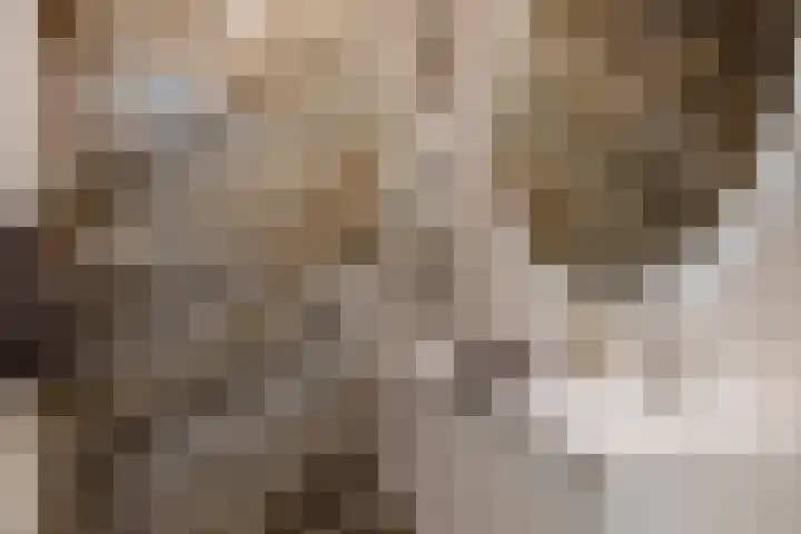 Molenweide 11 Delft thumbnail 30