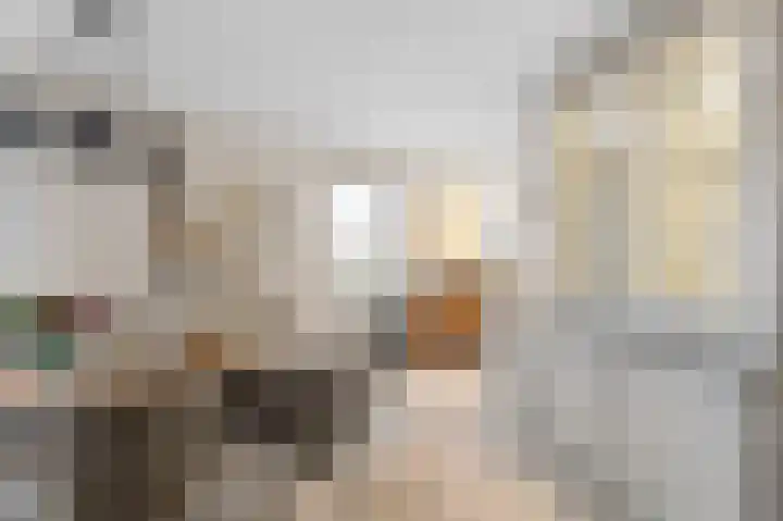 Molenweide 13 Oud Gastel thumbnail 17