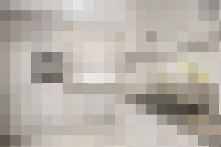 Molenweide 13 Oud Gastel thumbnail 21