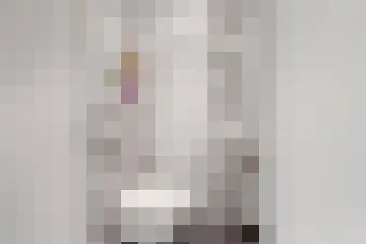 Molenweide 13 Oud Gastel thumbnail 36