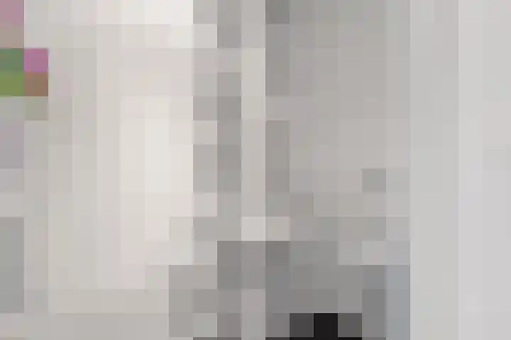Molenweide 13 Oud Gastel thumbnail 37