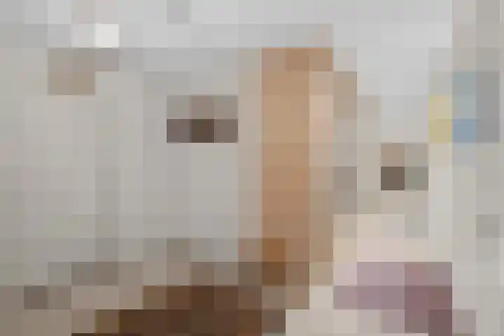 Molenweide 13 Oud Gastel thumbnail 40