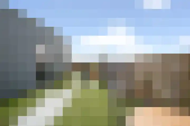 Molenweide 13 Oud Gastel thumbnail 43