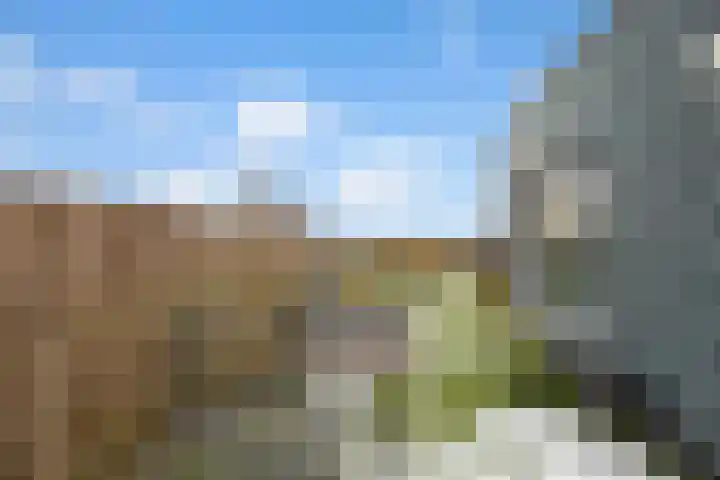 Molenweide 13 Oud Gastel thumbnail 45