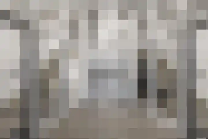 Molenweide 13 Oud Gastel thumbnail 50