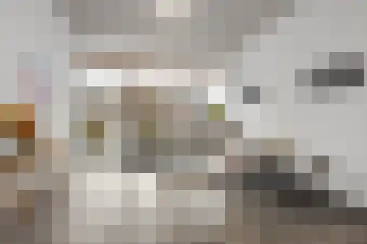 Molenweide 13 Oud Gastel thumbnail 52