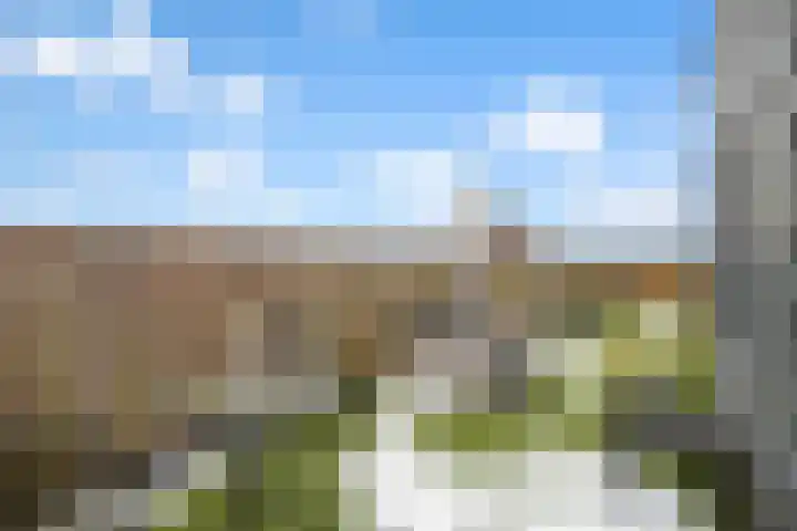 Molenweide 13 Oud Gastel thumbnail 6
