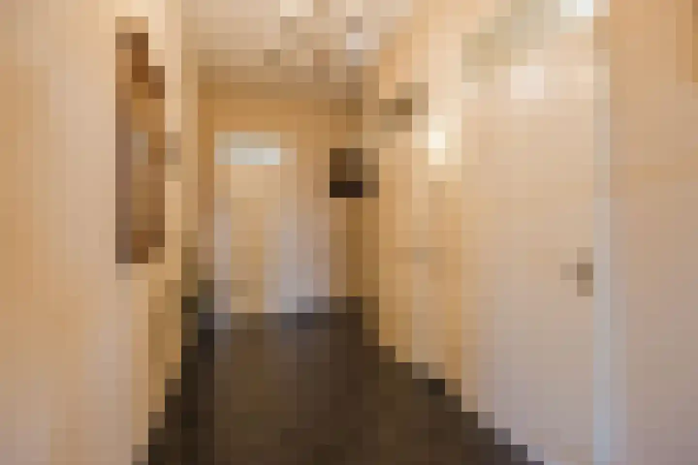 Molenweide 2 Oud Gastel thumbnail 14