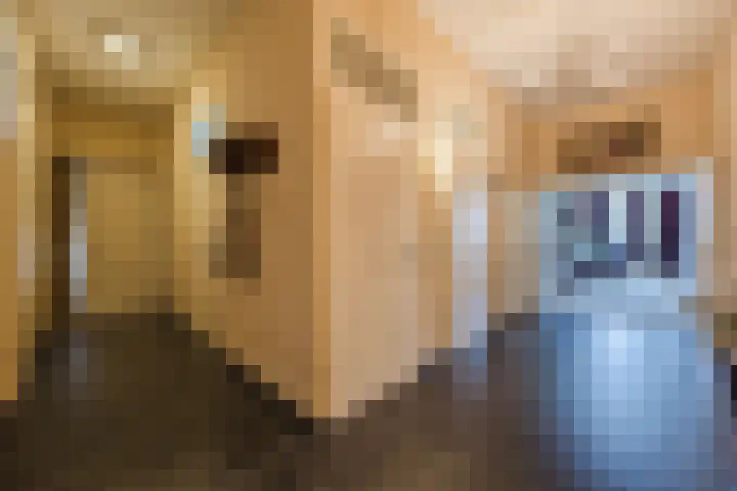 Molenweide 2 Oud Gastel thumbnail 15