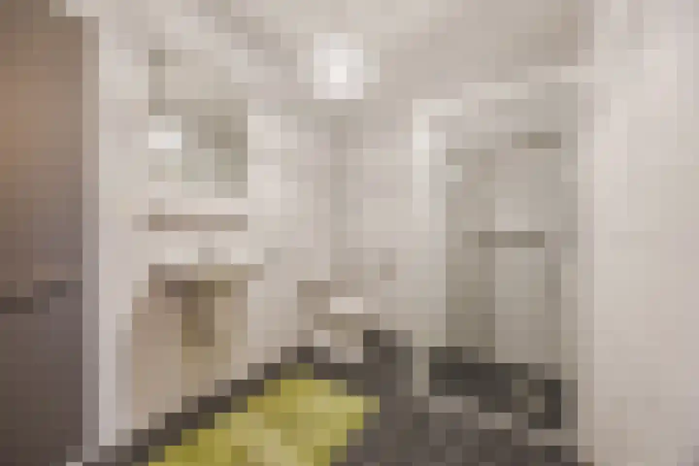 Molenweide 2 Oud Gastel thumbnail 20