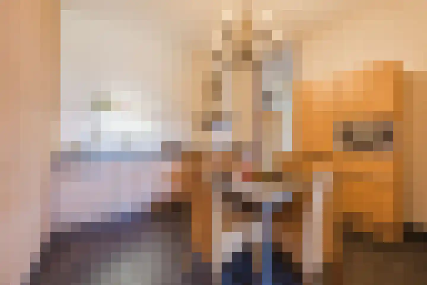 Molenweide 2 Oud Gastel thumbnail 26