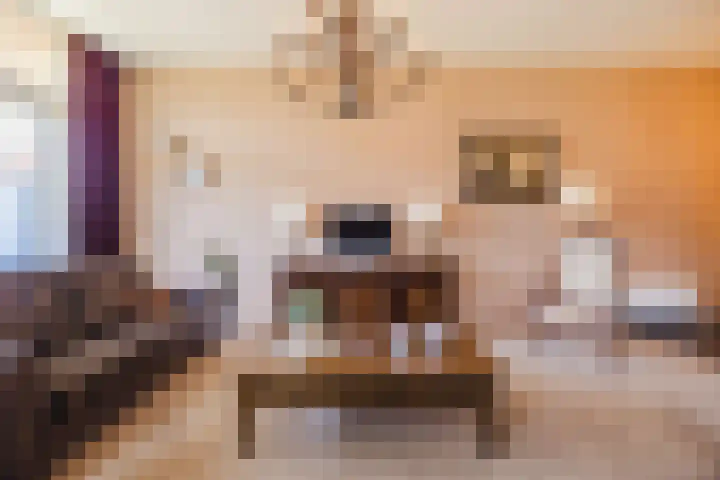 Molenweide 2 Oud Gastel thumbnail 30