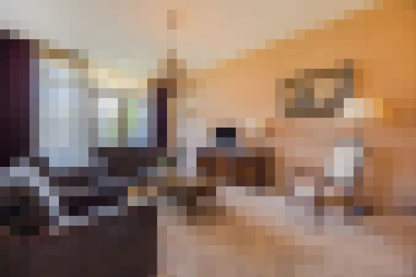 Molenweide 2 Oud Gastel thumbnail 31