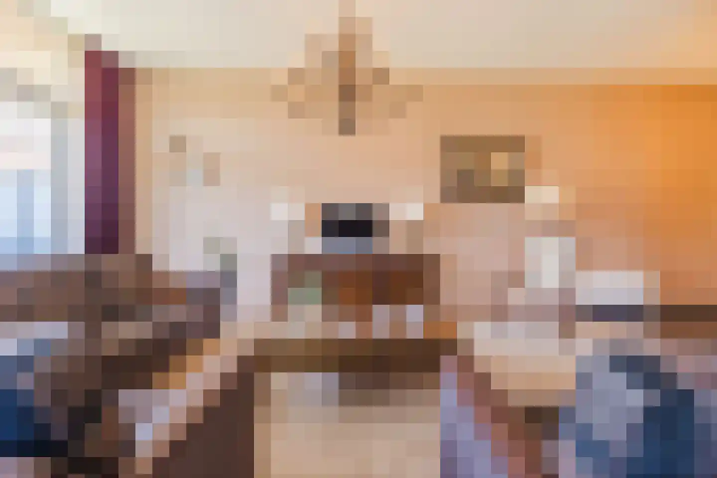 Molenweide 2 Oud Gastel thumbnail 35