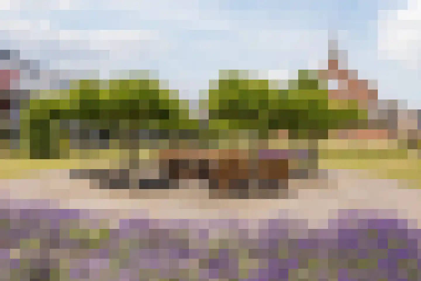 Molenweide 2 Oud Gastel thumbnail 48