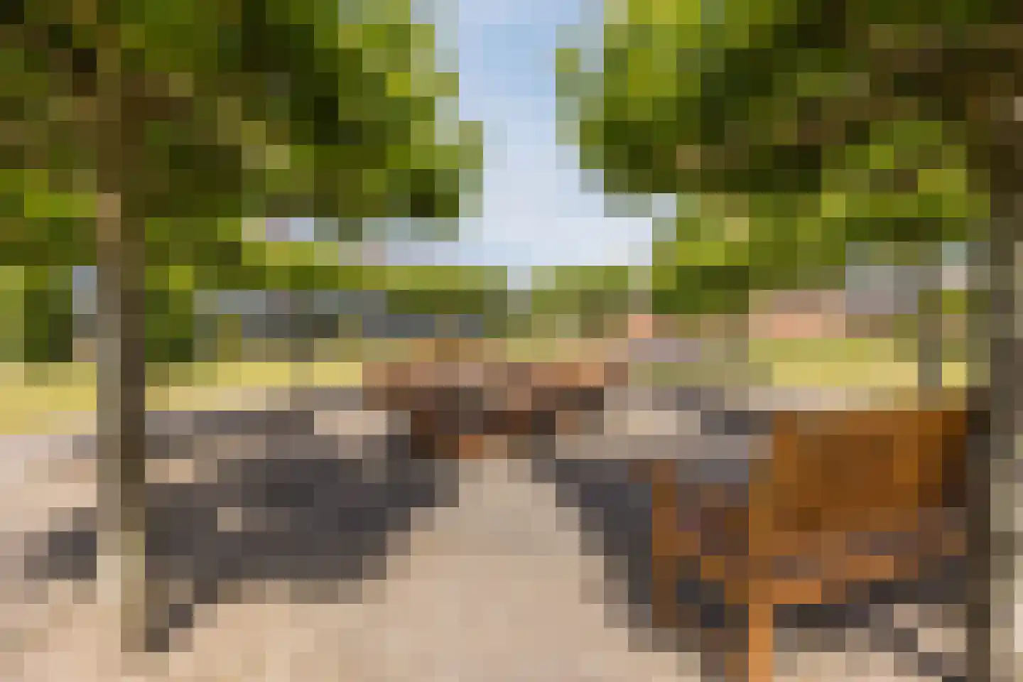 Molenweide 2 Oud Gastel thumbnail 49