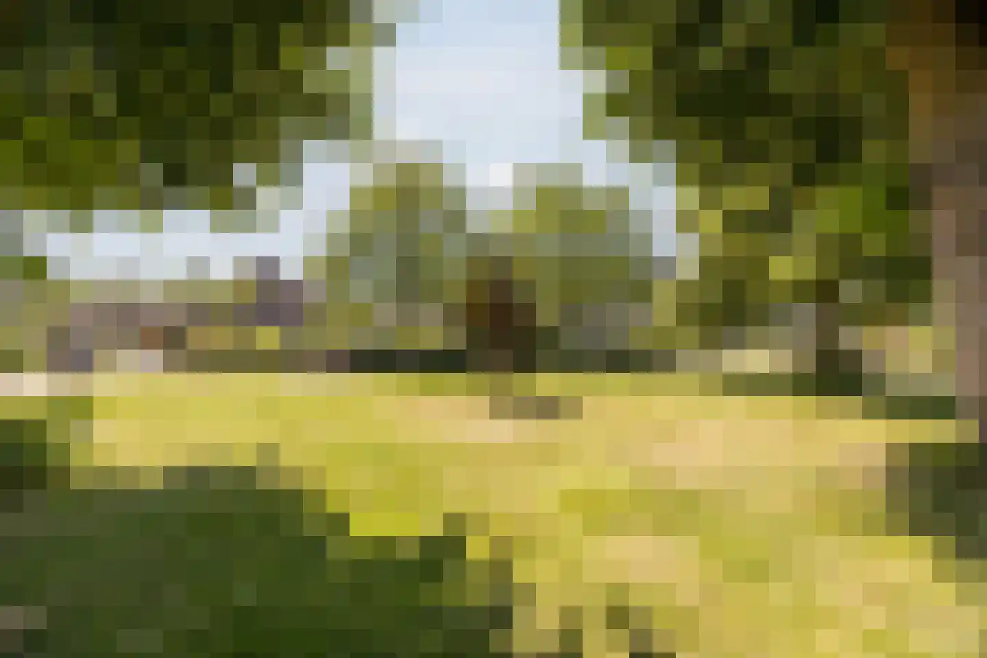 Molenweide 2 Oud Gastel thumbnail 54
