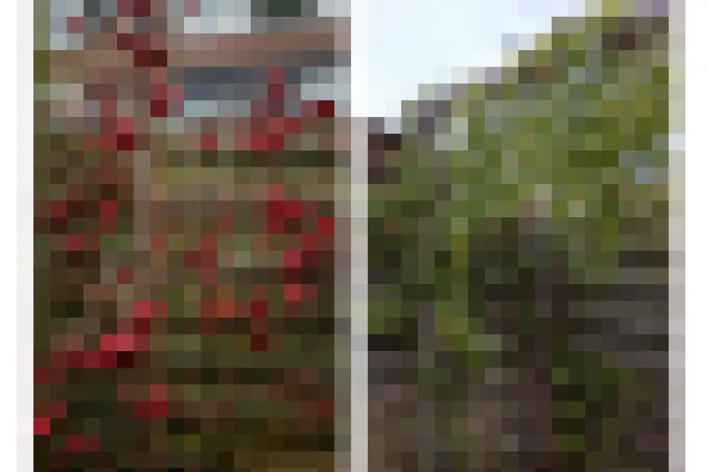 Molenweide 25 Castricum thumbnail 22