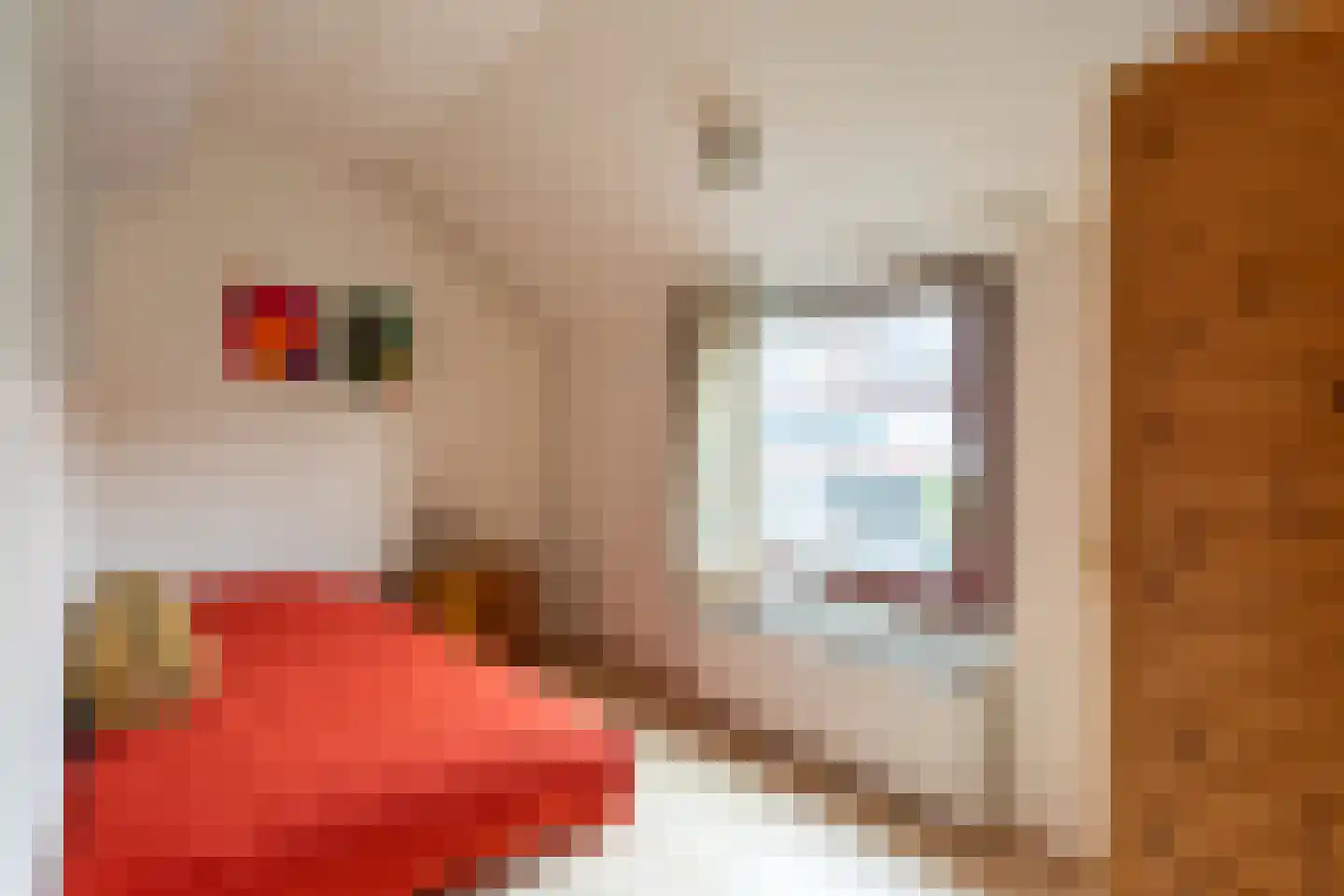 Molenweide 25 Castricum thumbnail 31