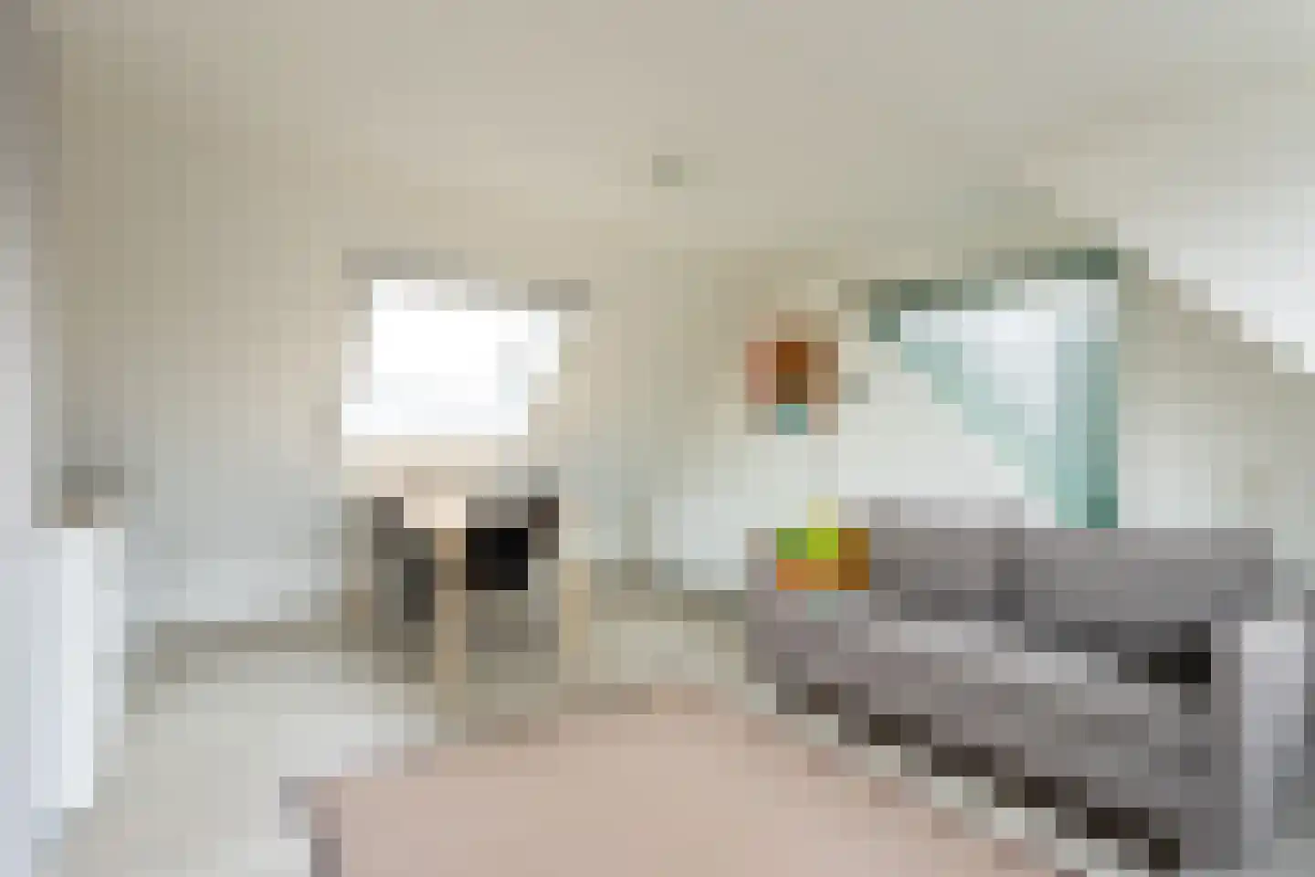 Molenweide 25 Castricum thumbnail 36