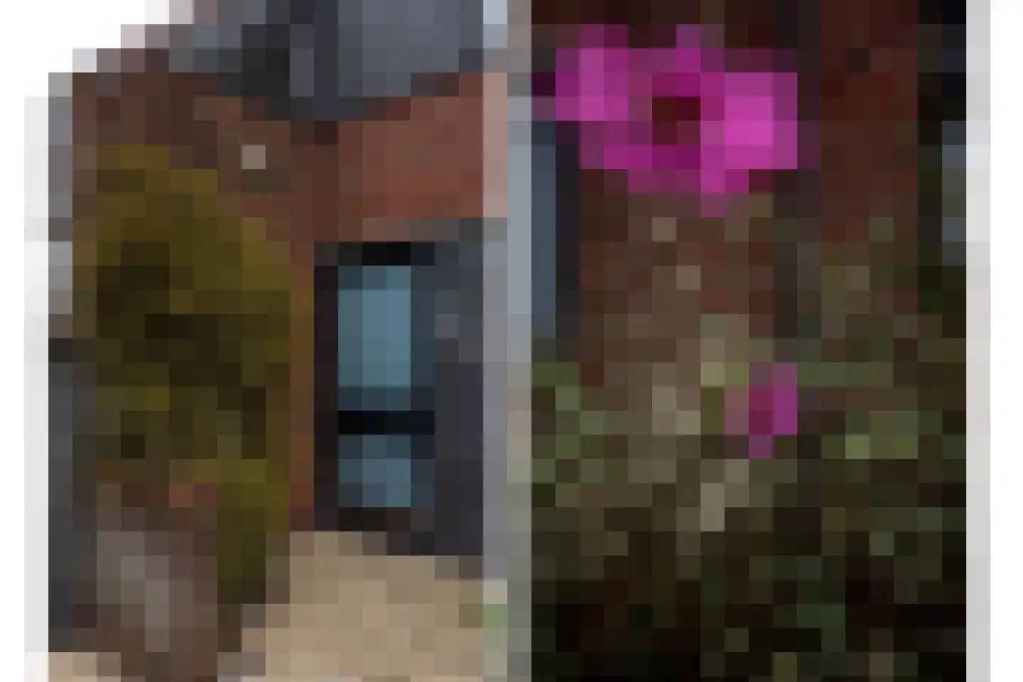 Molenweide 25 Castricum thumbnail 38