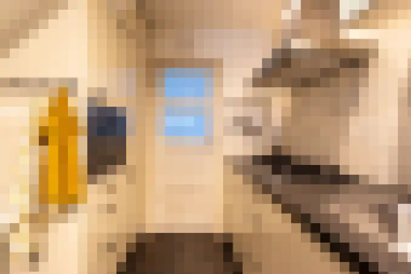 Molenweide 25 Castricum thumbnail 8