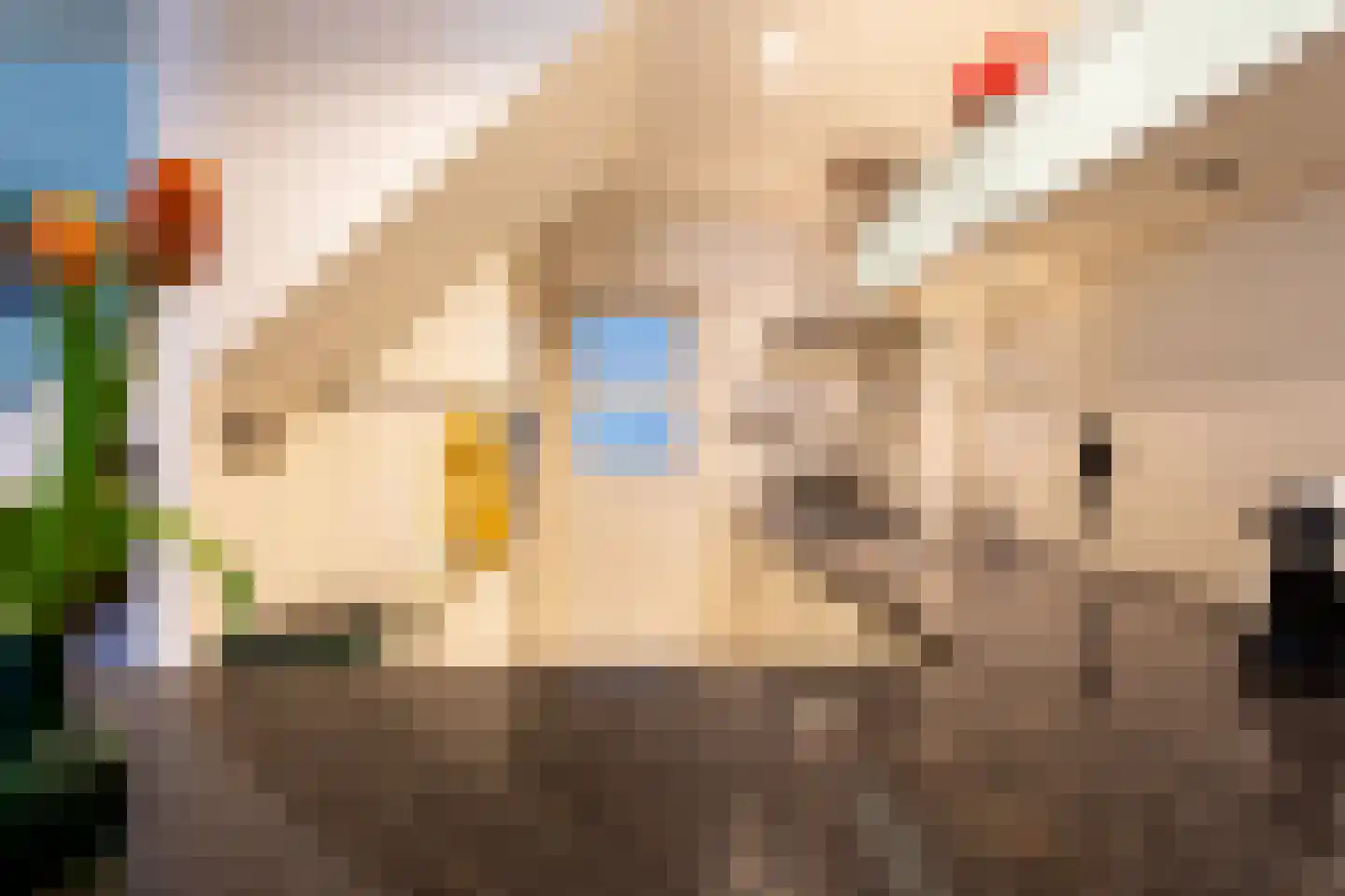 Molenweide 25 Castricum thumbnail 9