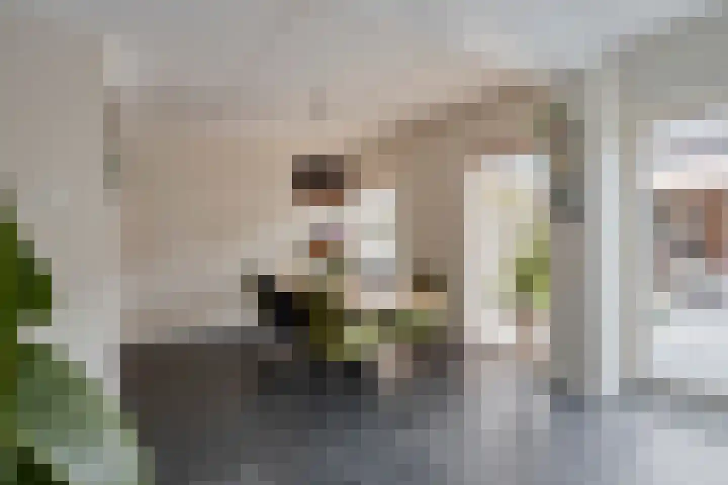 Molenweide 42 Castricum thumbnail 17
