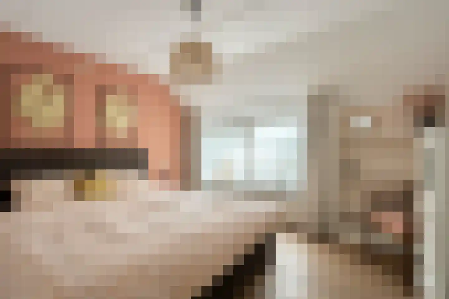 Molenweide 42 Castricum thumbnail 26