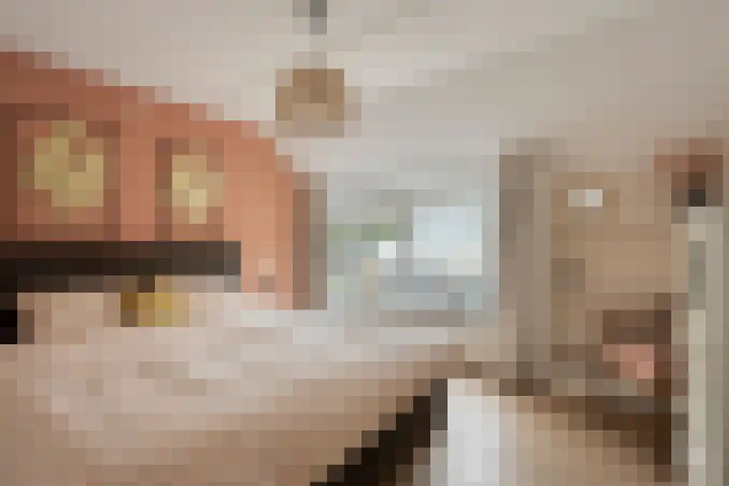 Molenweide 42 Castricum thumbnail 27