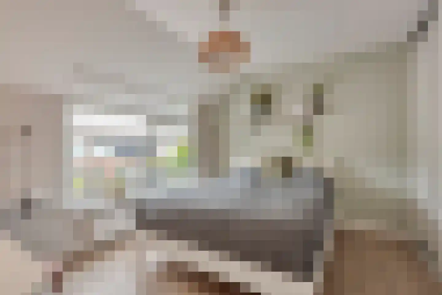 Molenweide 42 Castricum thumbnail 29