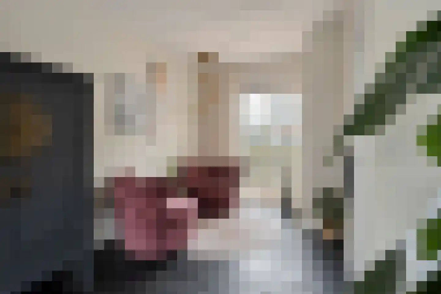 Molenweide 42 Castricum thumbnail 8