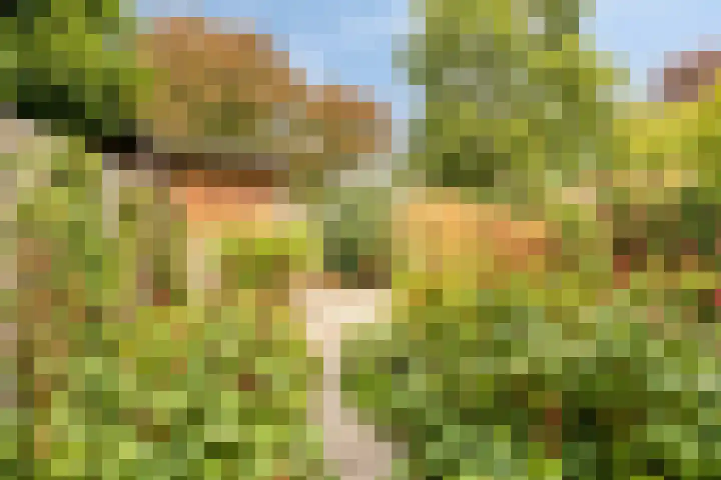 Molenweide 49 Castricum thumbnail 13