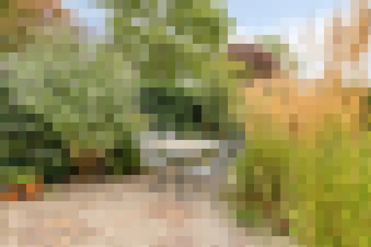 Molenweide 49 Castricum thumbnail 14