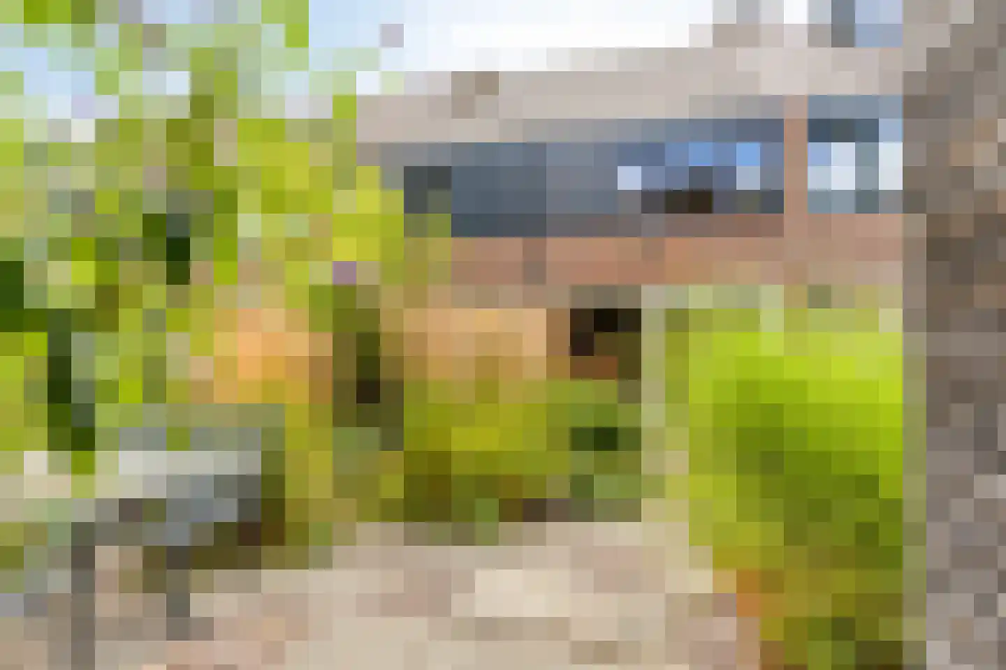 Molenweide 49 Castricum thumbnail 15