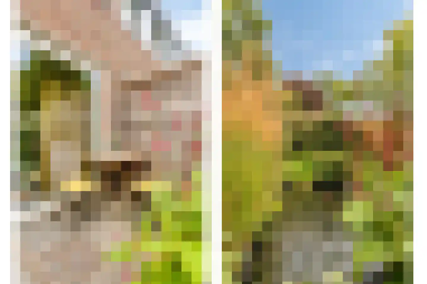 Molenweide 49 Castricum thumbnail 16