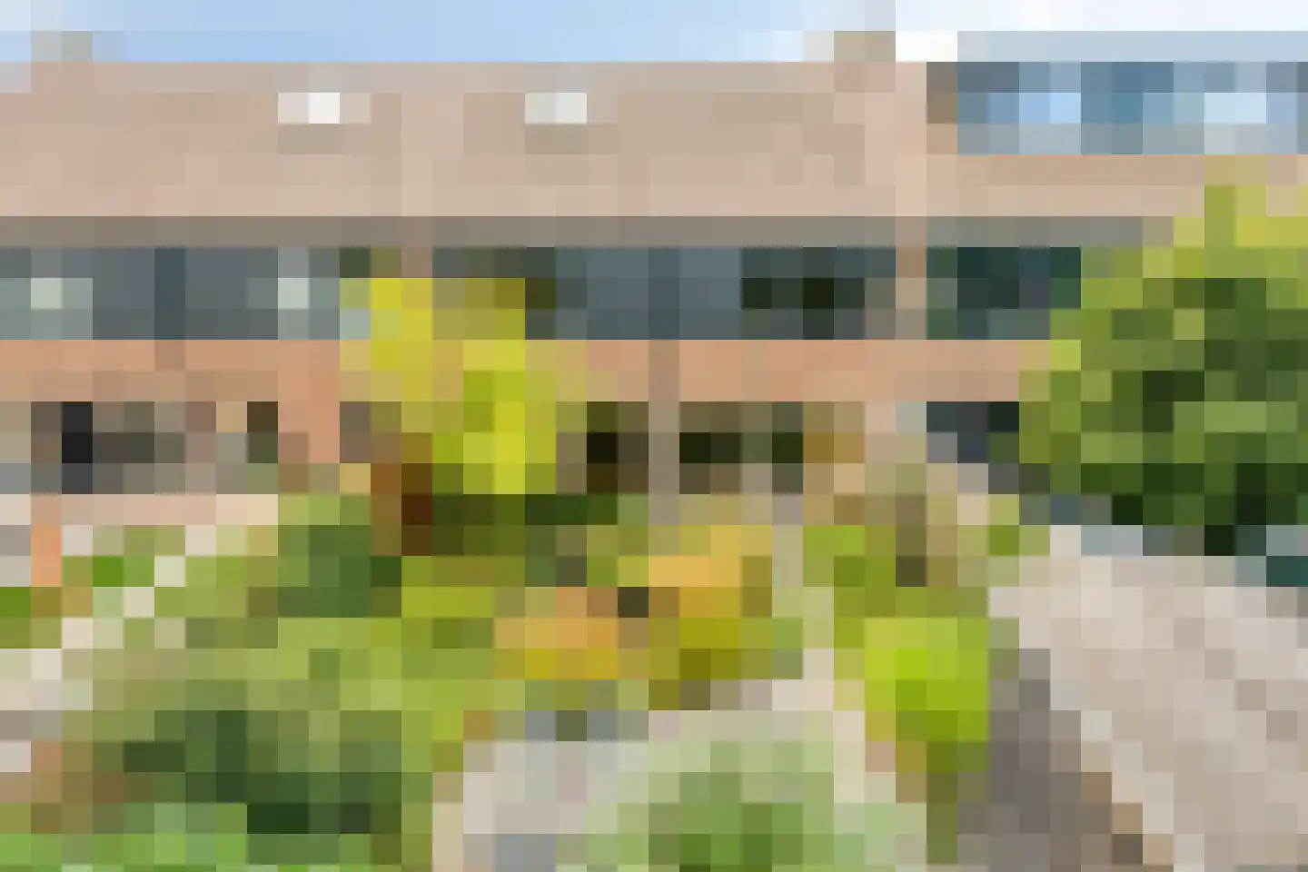 Molenweide 49 Castricum thumbnail 17