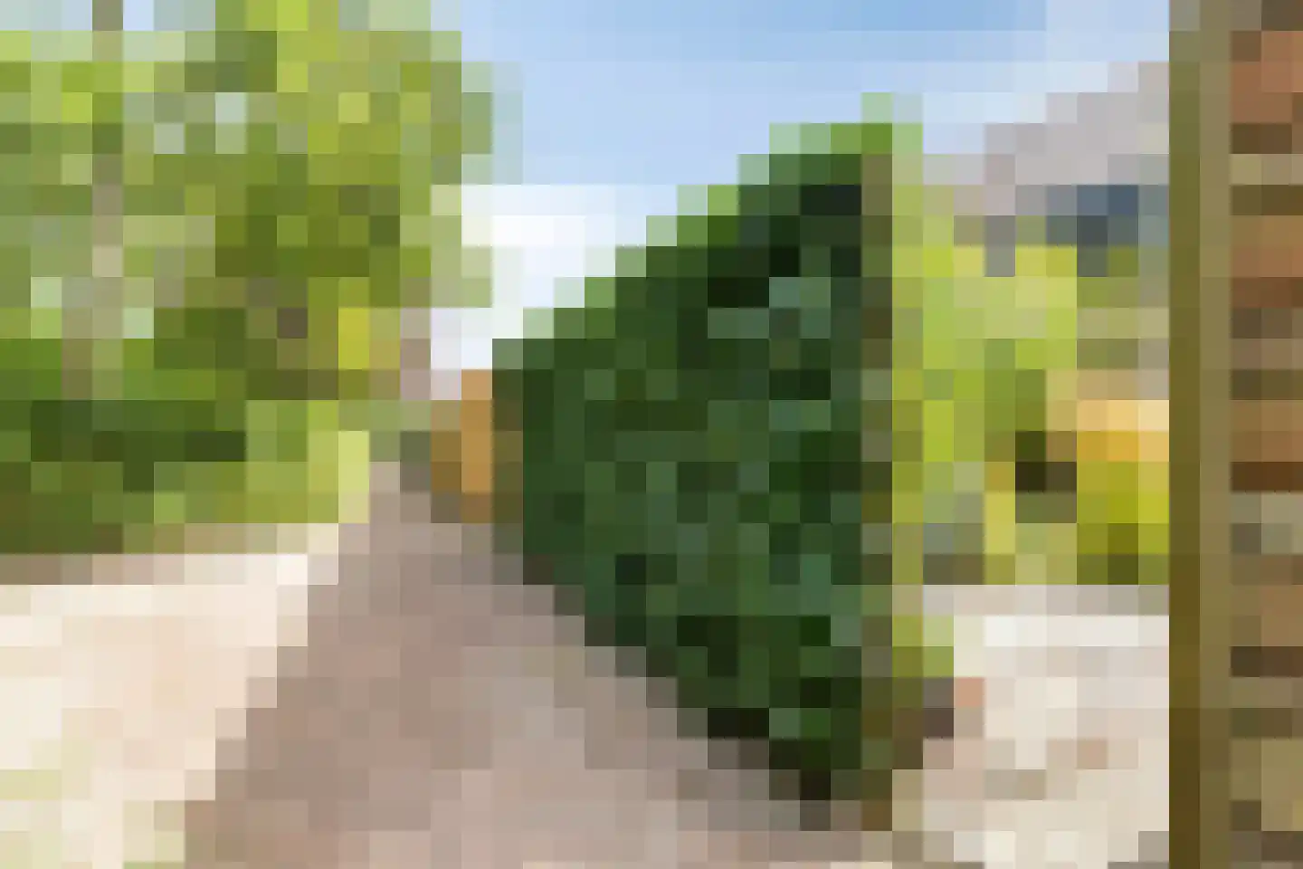 Molenweide 49 Castricum thumbnail 18