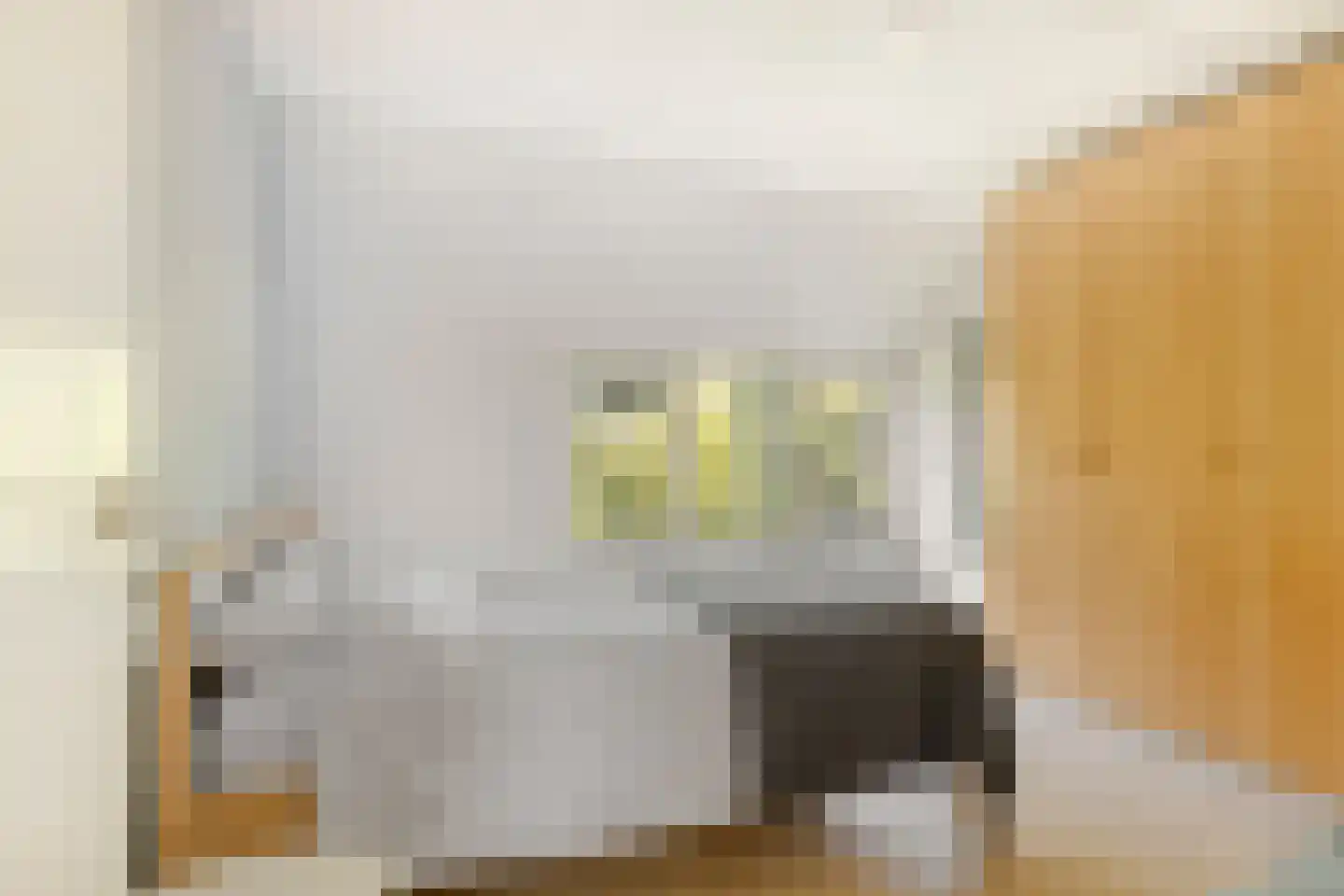 Molenweide 49 Castricum thumbnail 21