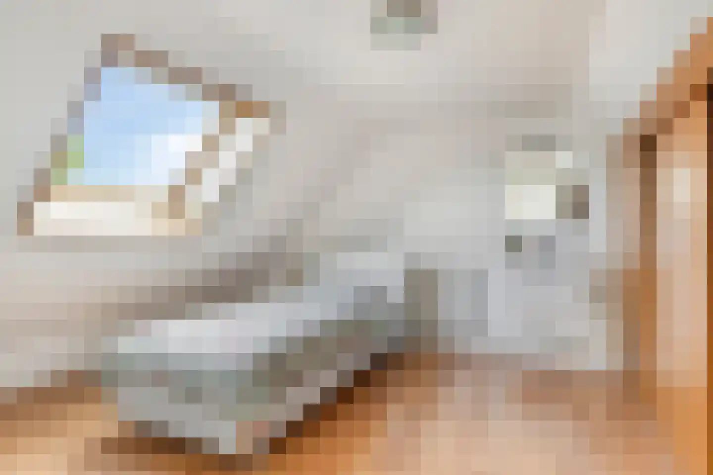 Molenweide 49 Castricum thumbnail 31