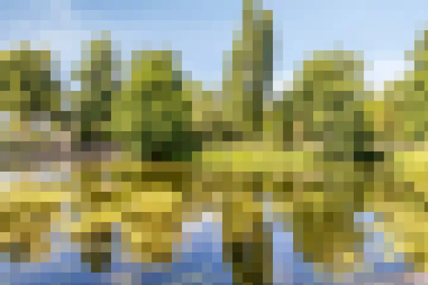 Molenweide 49 Castricum thumbnail 34