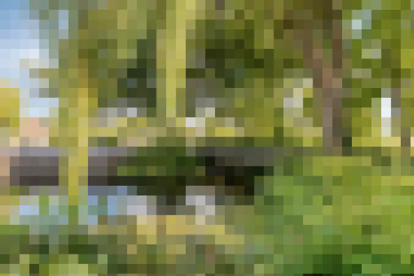 Molenweide 49 Castricum thumbnail 35
