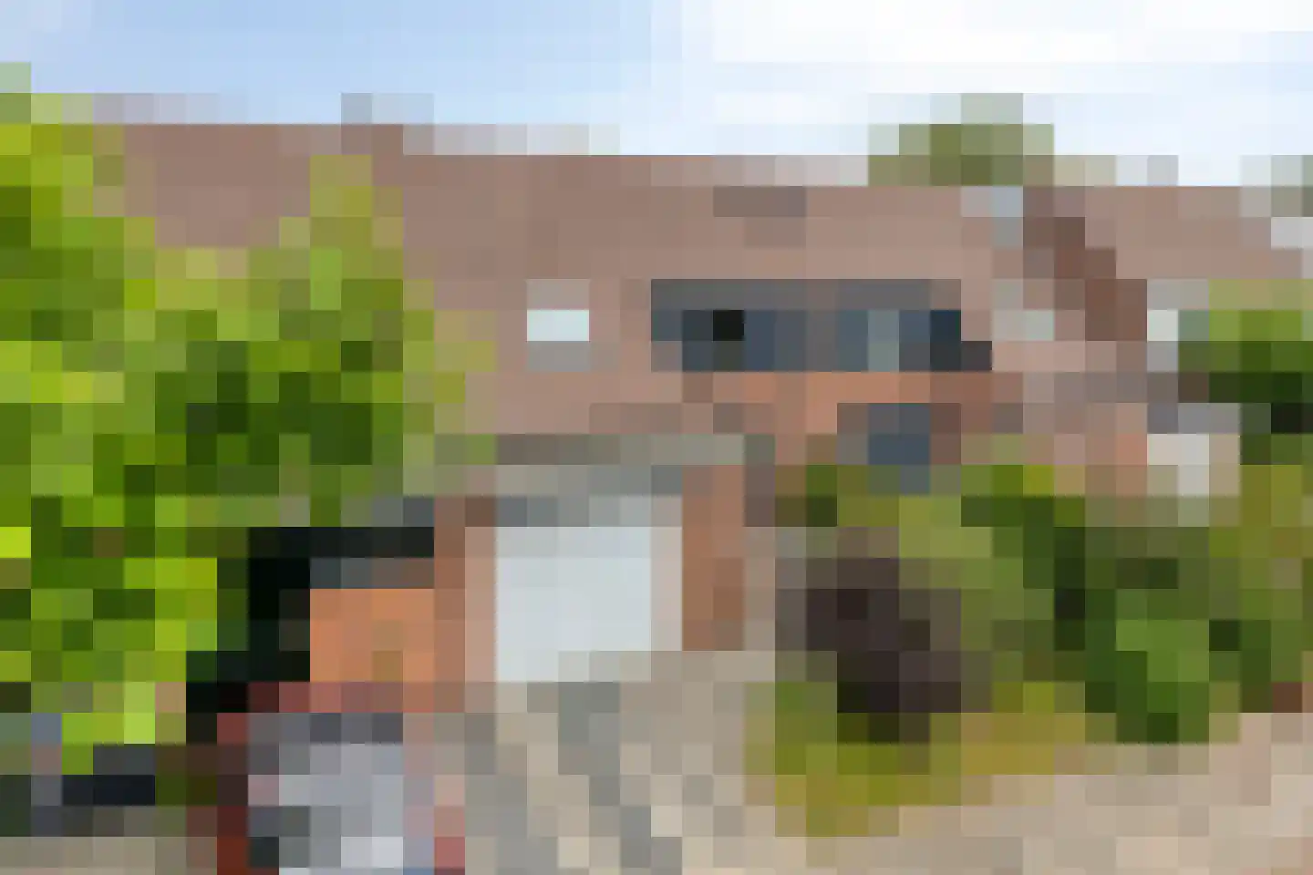 Molenweide 49 Castricum thumbnail 37