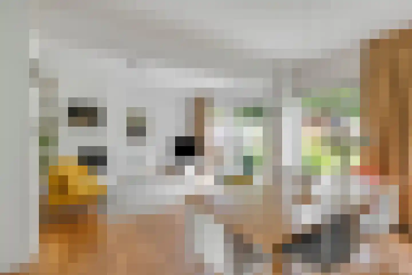 Molenweide 49 Castricum thumbnail 8