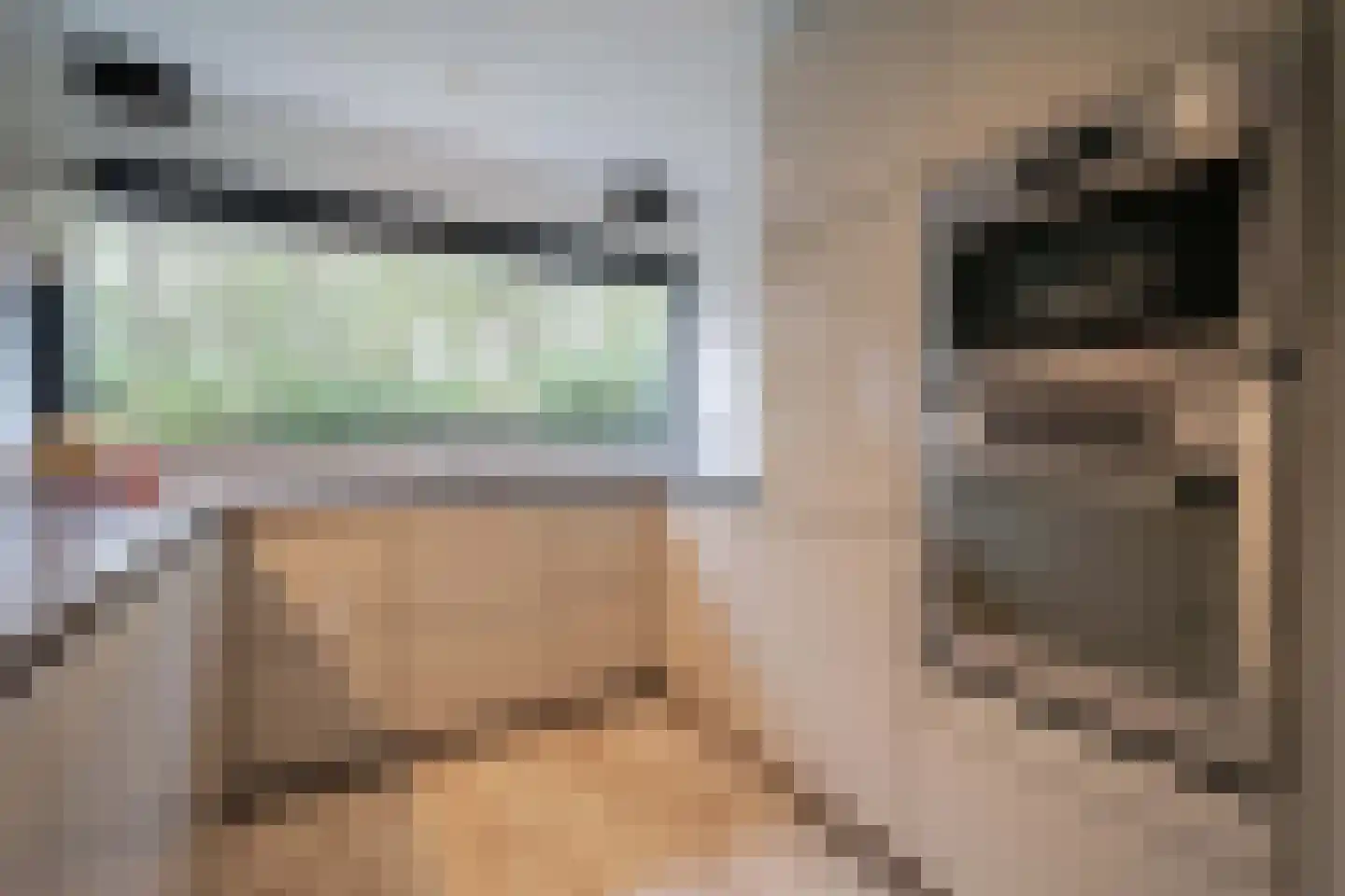 Molenweide 60 Castricum thumbnail 10