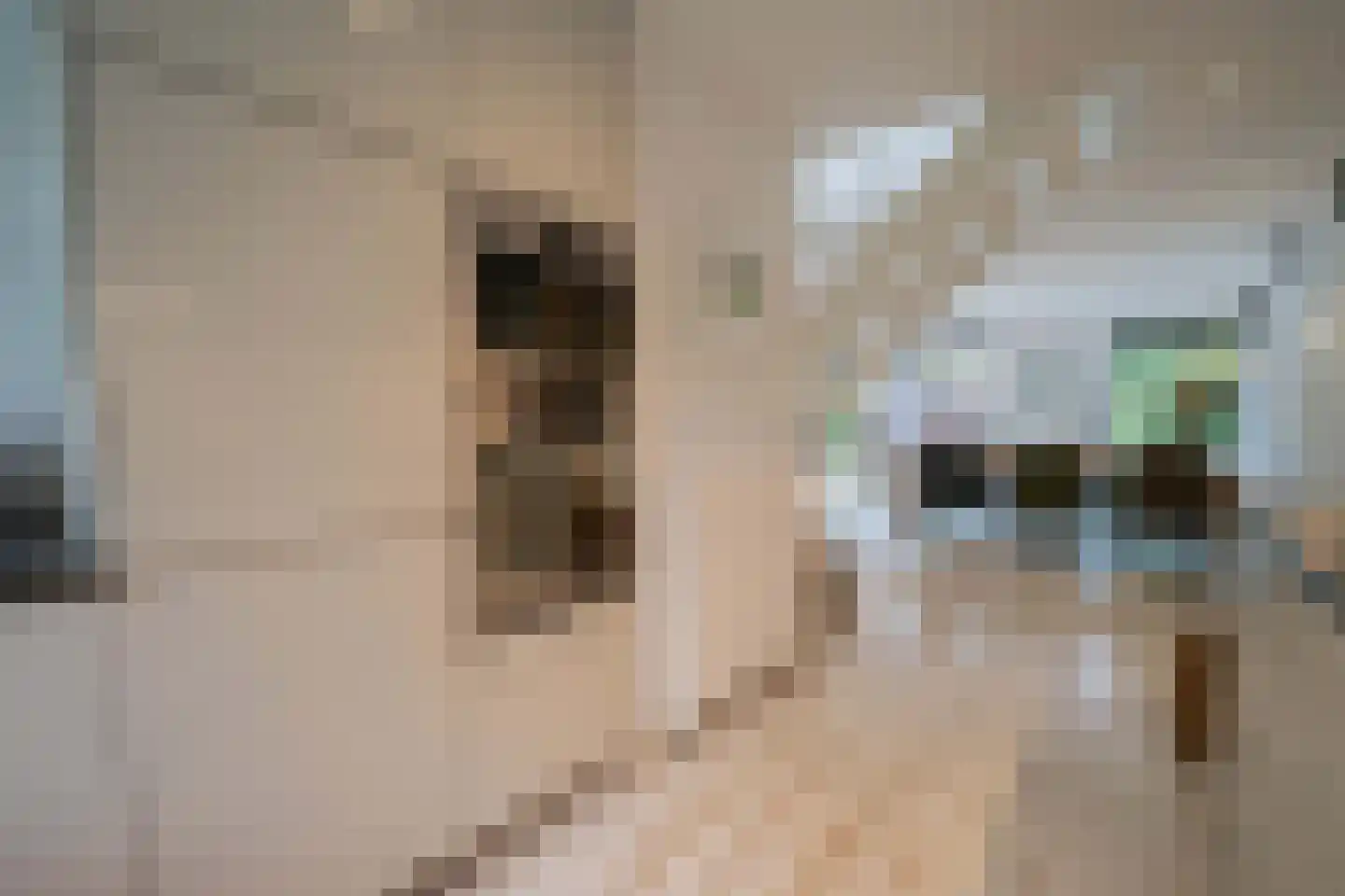 Molenweide 60 Castricum thumbnail 12