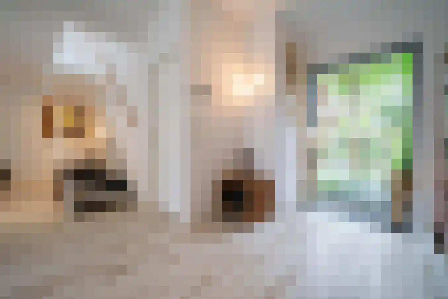 Molenweide 60 Castricum thumbnail 16
