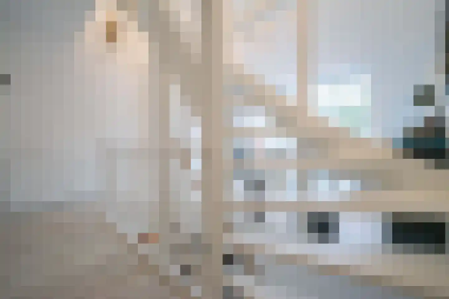 Molenweide 60 Castricum thumbnail 17