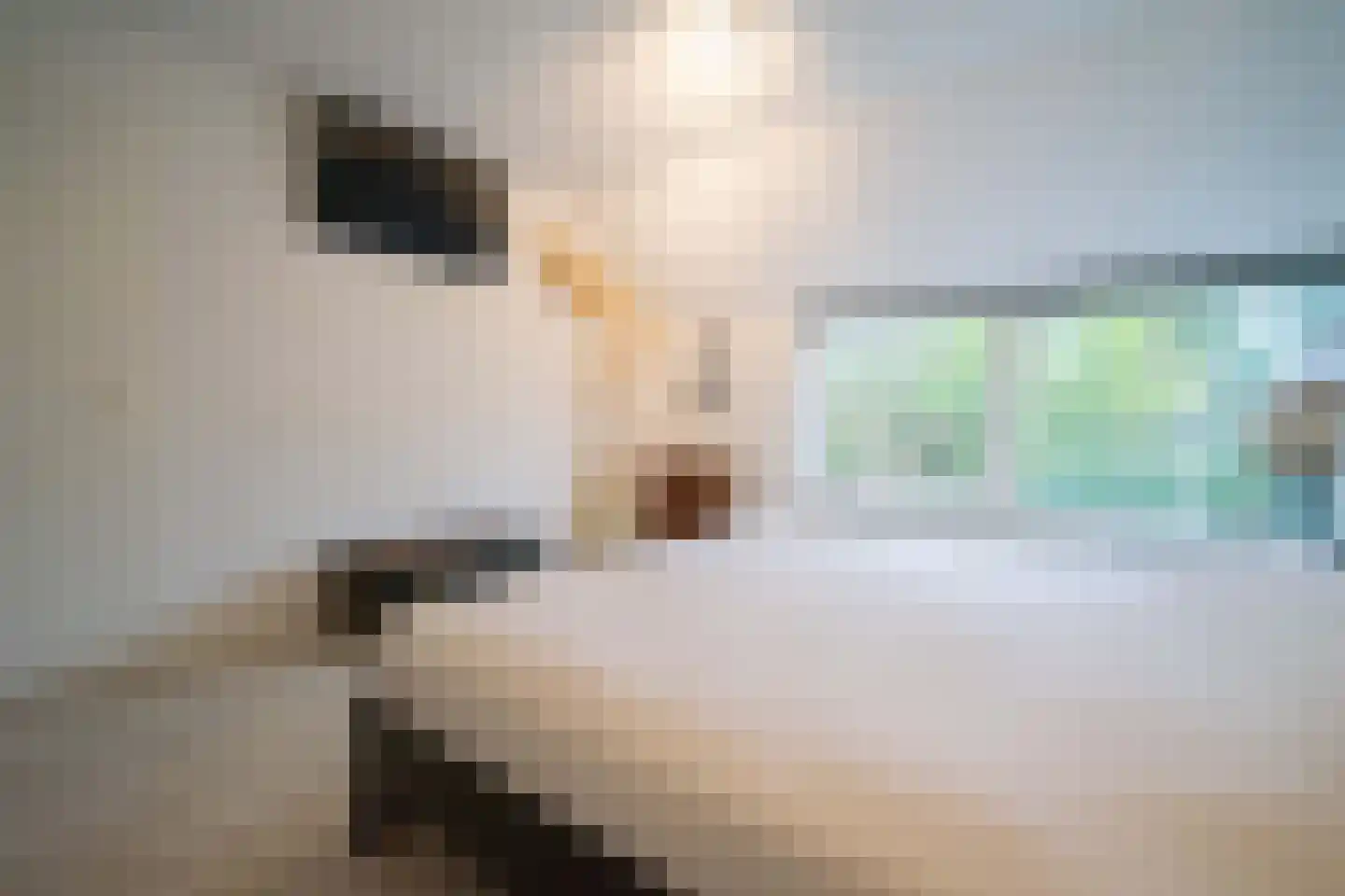 Molenweide 60 Castricum thumbnail 28