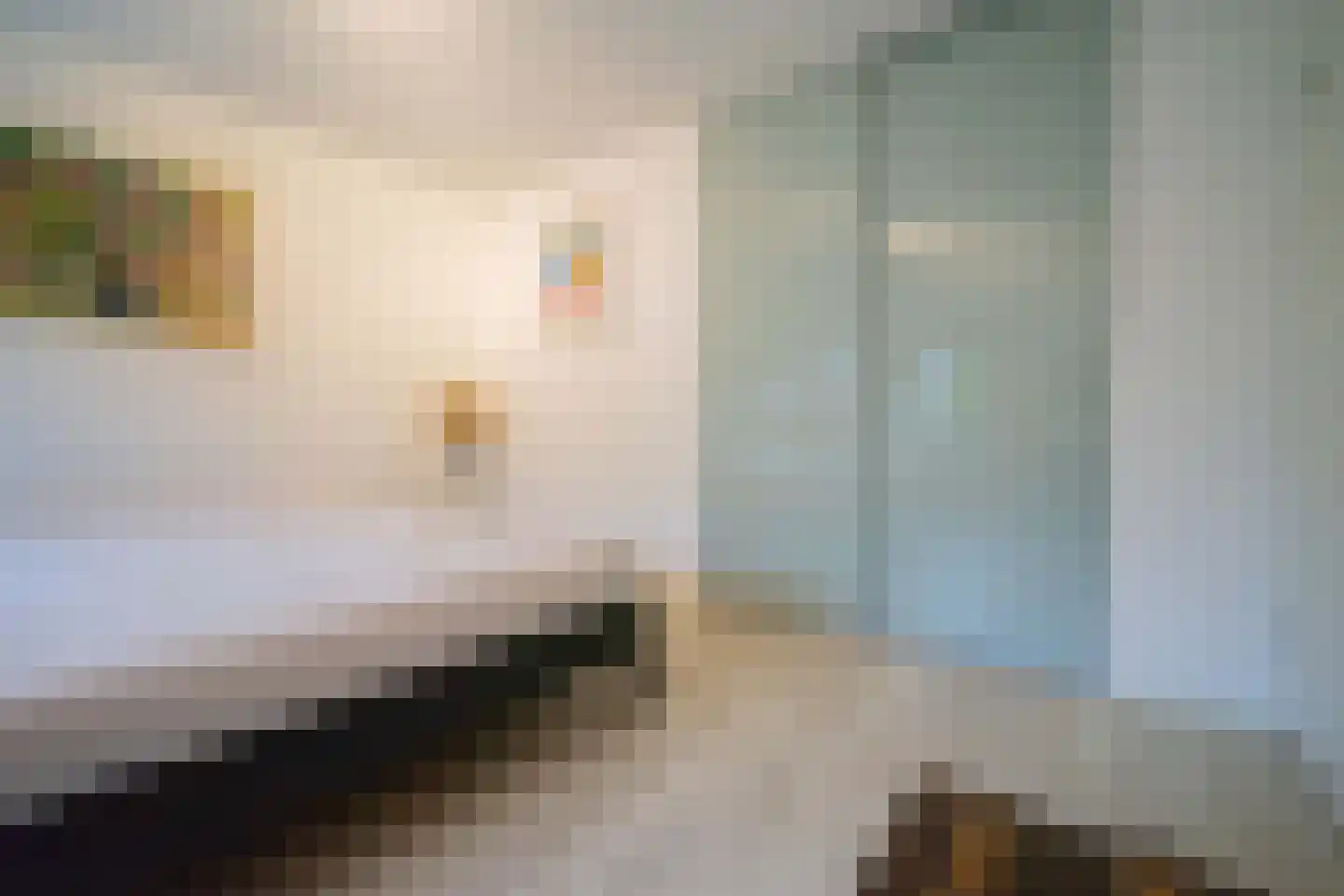 Molenweide 60 Castricum thumbnail 29
